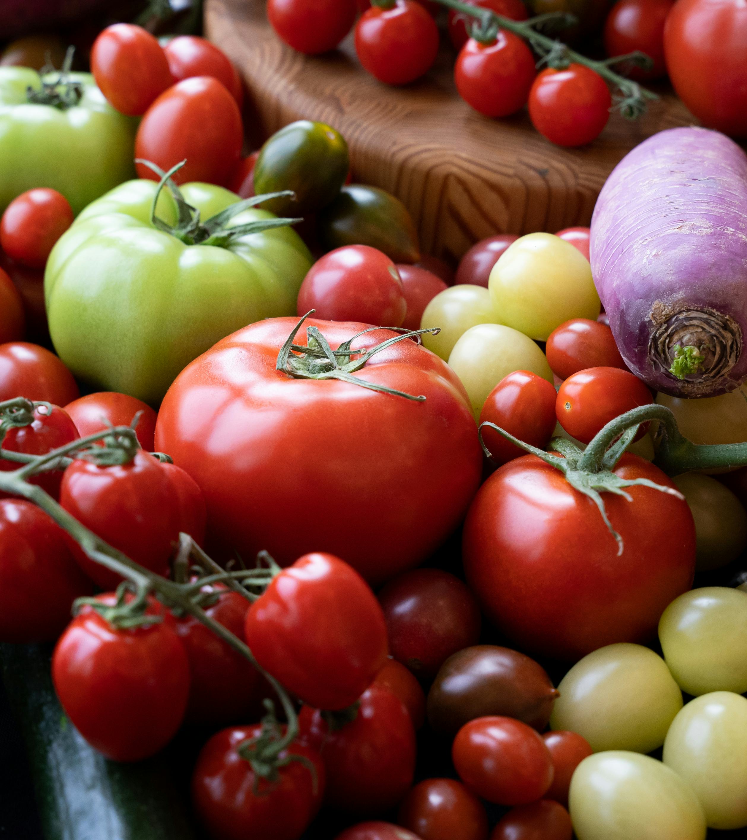 A mix of large, small, red and green tomatoes, and a purple turnip.