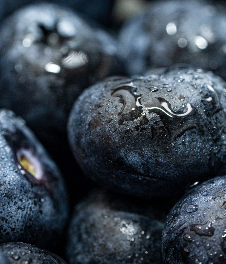 A close-up macro photo of blueberries, with tiny water droplets on them.